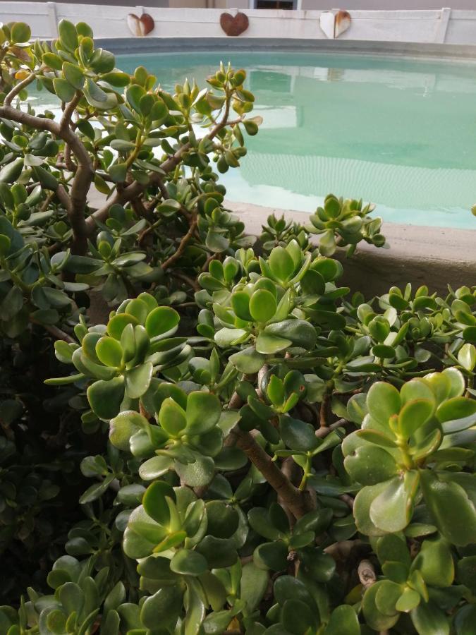 Swartberg Guest House 卡利登 外观 照片