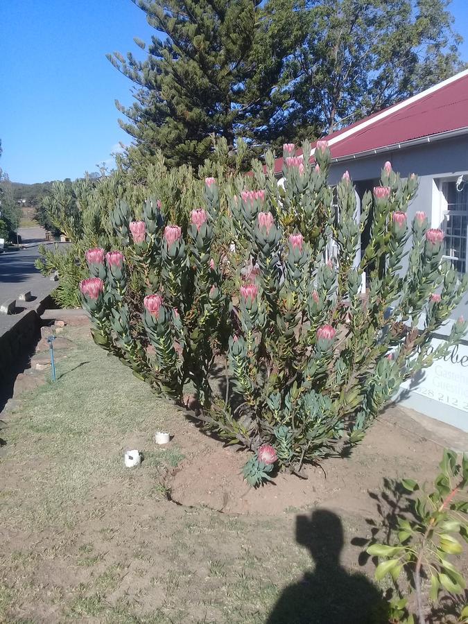 Swartberg Guest House 卡利登 外观 照片